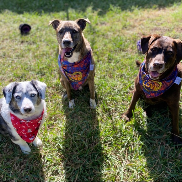 Meet your Posher, Donna - Picture 3 of 7